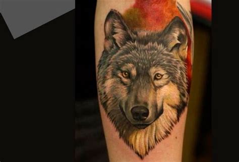 Tatuagem de Lobo: significados e locais do corpo。